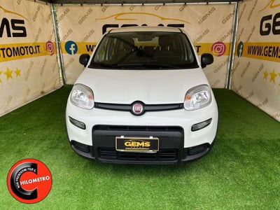 Fiat Panda 1.0 FireFly S&S Hybrid City Cross usata
