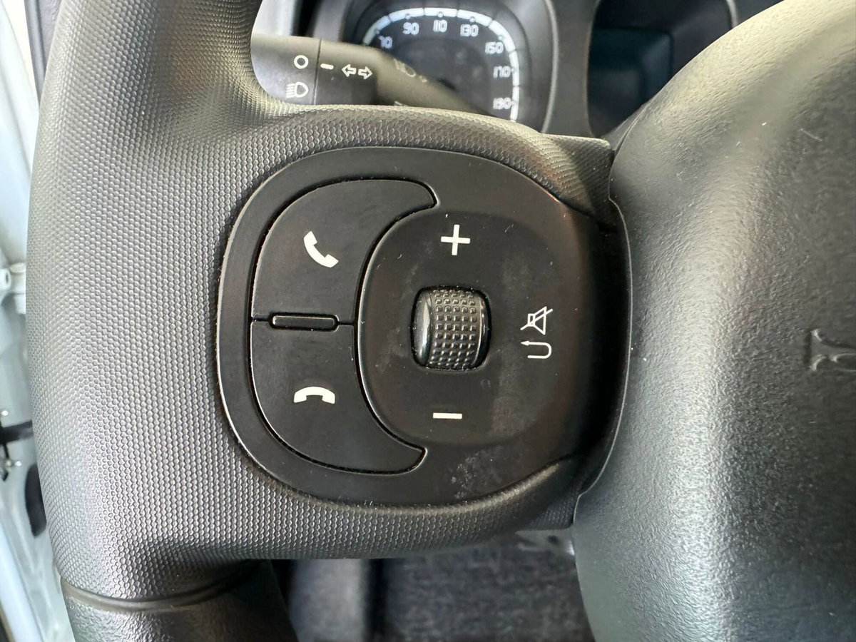 Fiat Panda 1.0 FireFly S&S Hybrid City Cross (9)