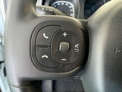 Fiat Panda 1.0 FireFly S&S Hybrid City Cross (9)