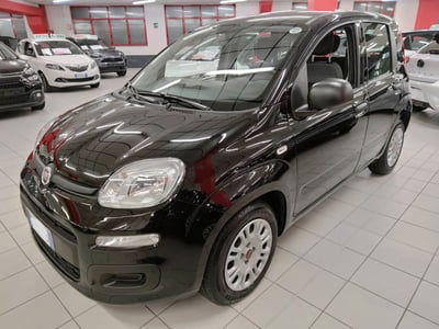 Fiat Panda Cross Cross 1.0 FireFly S&S Hybrid usata