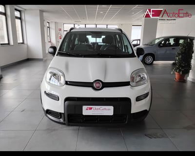 Fiat Panda 1.0 FireFly S&S Hybrid City Cross usata