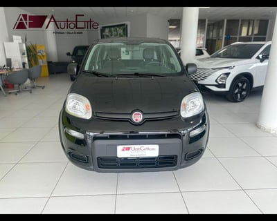 Fiat Panda Cross Cross 1.0 FireFly S&S Hybrid usata