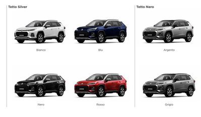 Suzuki Across 2.5 Plug-in Hybrid E-CVT 4WD Top (10)