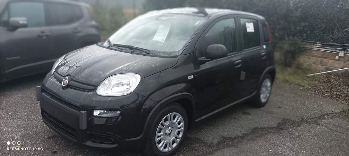Fiat Panda Cross Cross 1.0 FireFly S&S Hybrid (2)