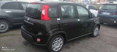 Fiat Panda Cross Cross 1.0 FireFly S&S Hybrid (3)