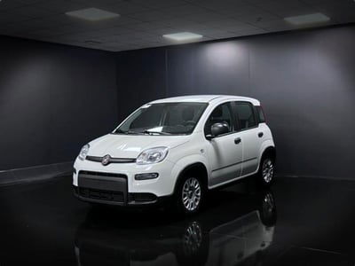 Fiat Panda 1.0 firefly hybrid s&s 70cv usata