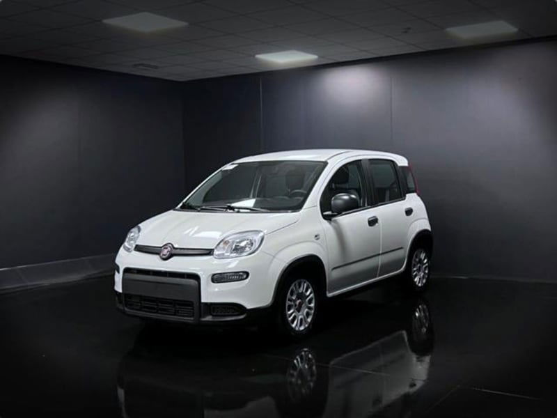 Fiat Panda 1.0 firefly hybrid s&s 70cv