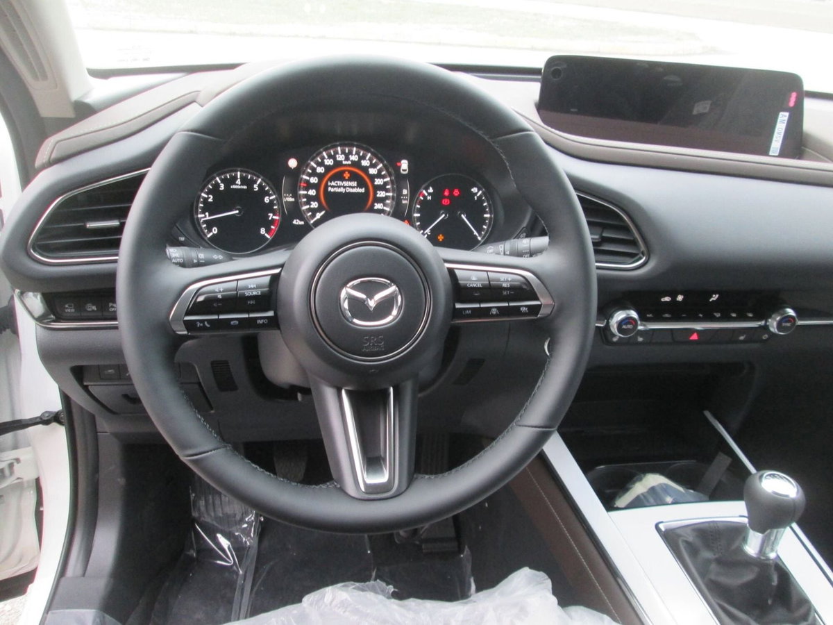 Mazda CX-30 e-Skyactiv-G 150 CV M Hybrid 2WD Exclusive (10)