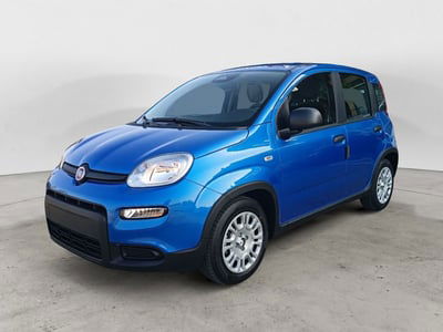 Fiat Panda Cross Cross 1.0 FireFly S&S Hybrid nuova