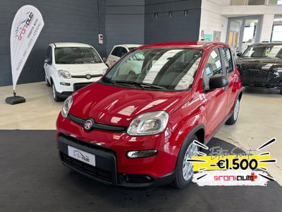 Fiat Panda Cross Cross 1.0 FireFly S&S Hybrid nuova