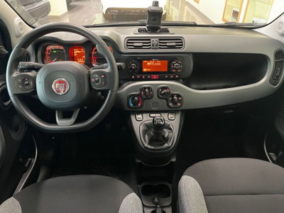 Fiat Panda Cross Cross 1.0 FireFly S&S Hybrid (14)