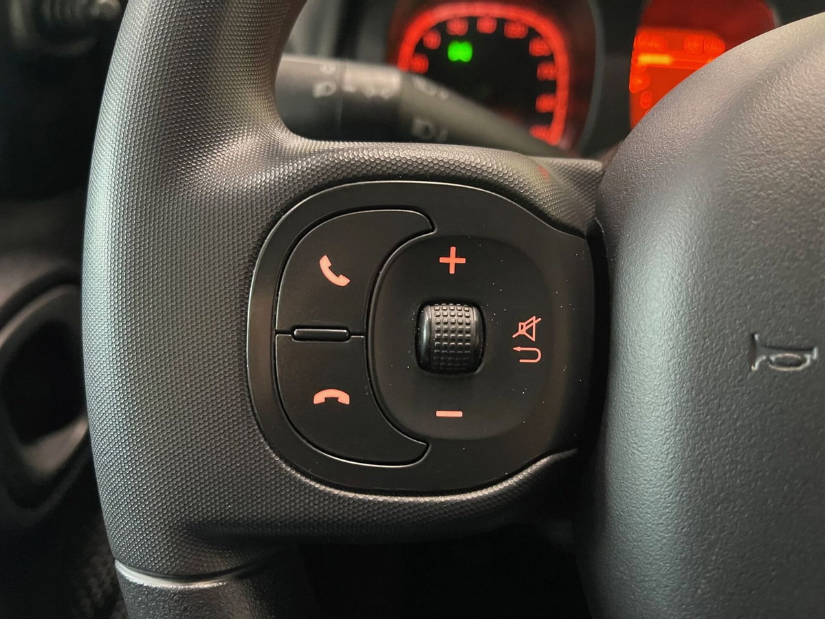 Fiat Panda Cross Cross 1.0 FireFly S&S Hybrid (16)