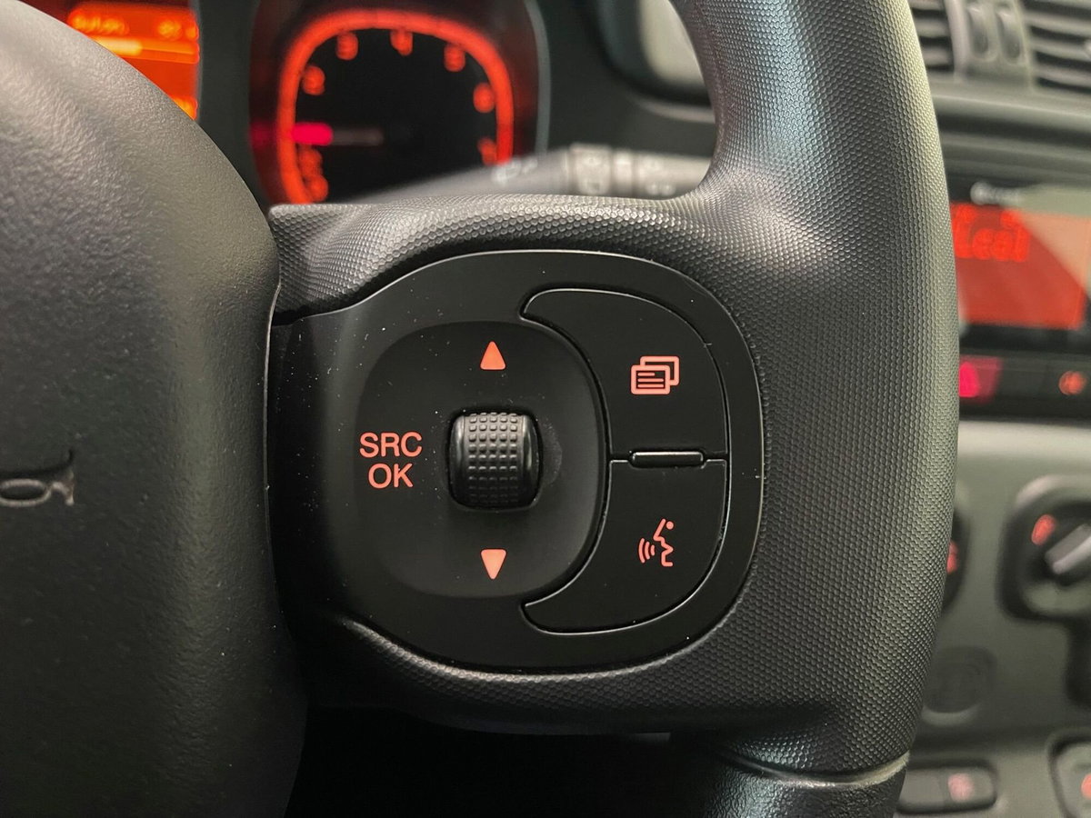 Fiat Panda Cross Cross 1.0 FireFly S&S Hybrid (17)