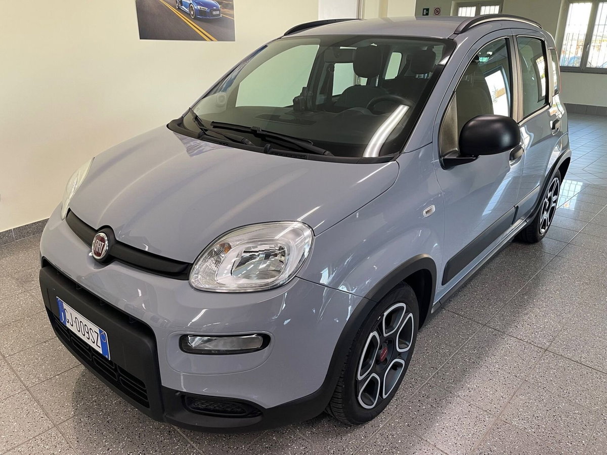 Fiat Panda Cross Cross 1.0 FireFly S&S Hybrid (2)
