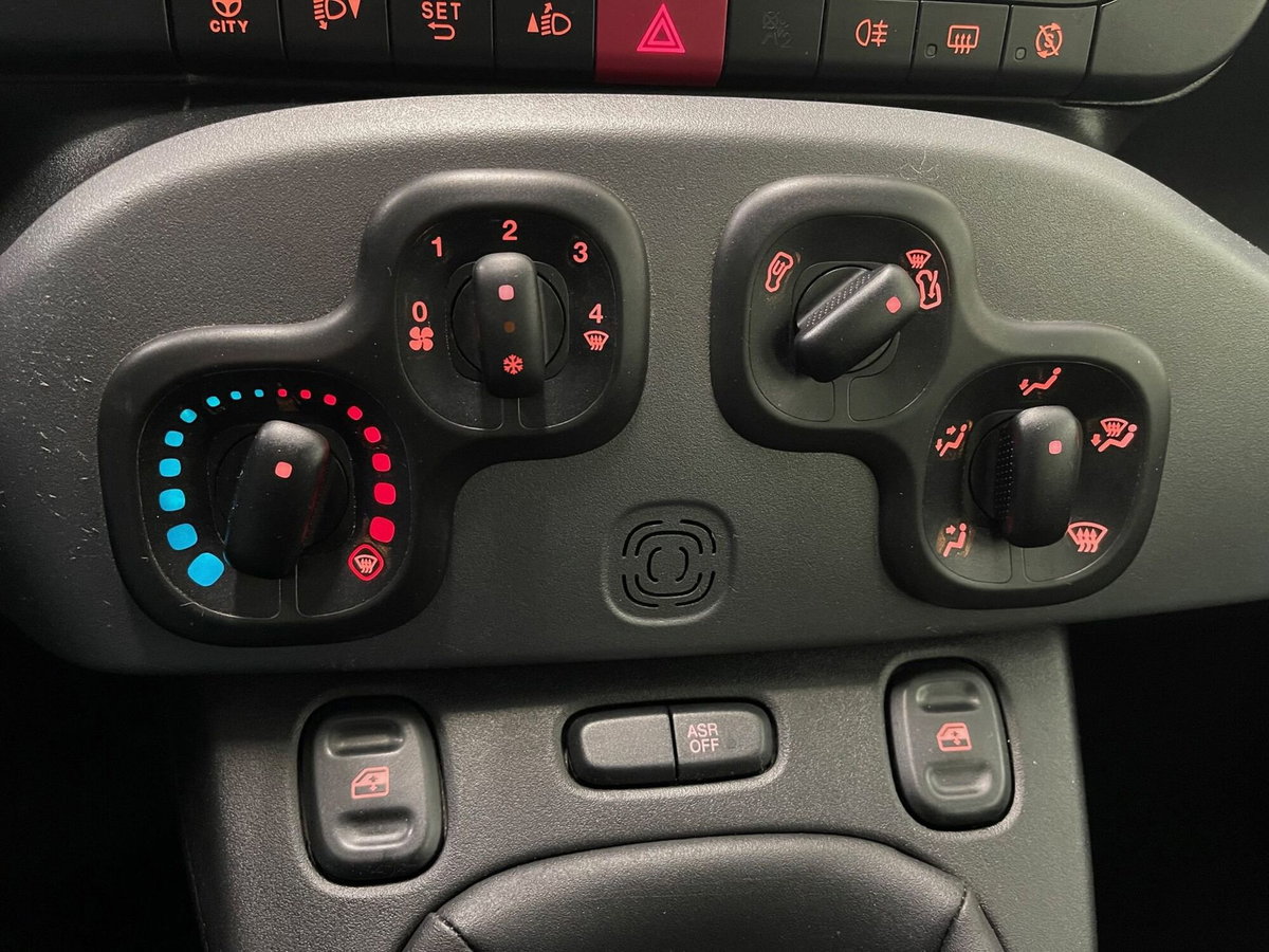 Fiat Panda Cross Cross 1.0 FireFly S&S Hybrid (20)