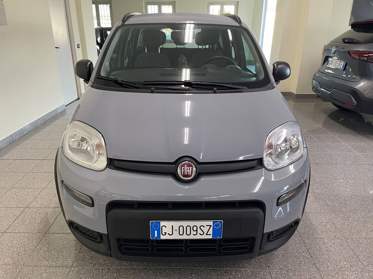 Fiat Panda Cross Cross 1.0 FireFly S&S Hybrid (3)