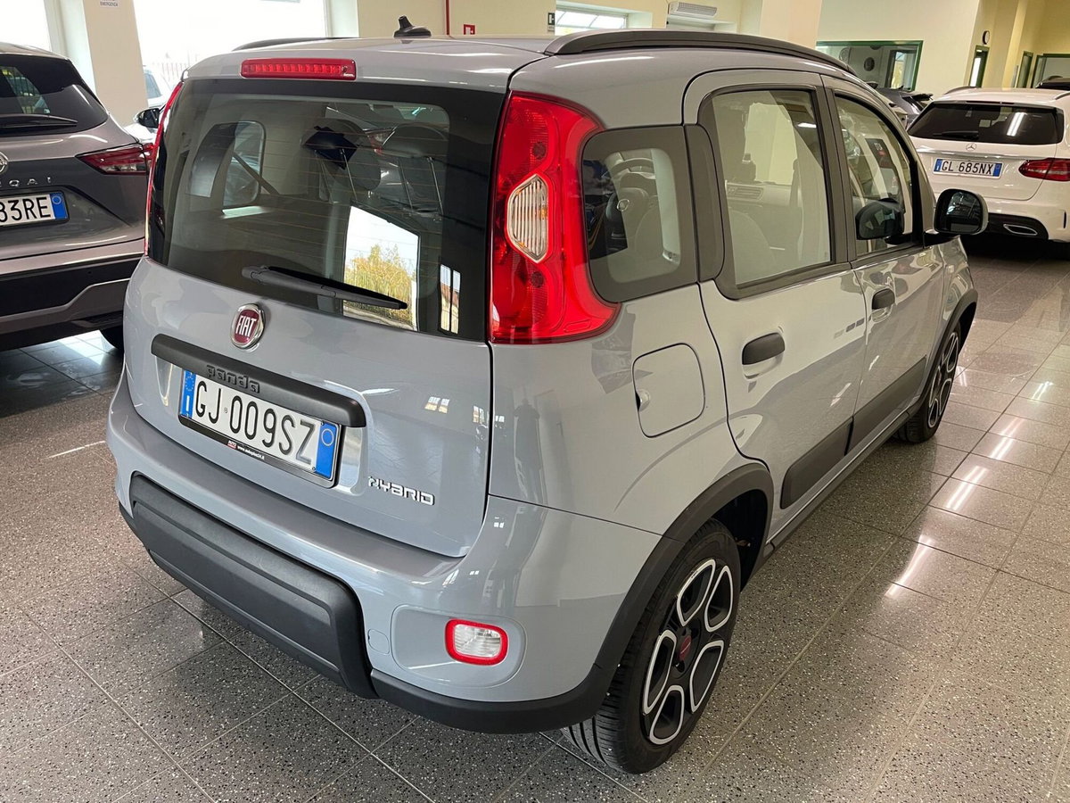 Fiat Panda Cross Cross 1.0 FireFly S&S Hybrid (5)