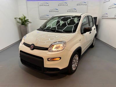 Fiat Panda Cross Cross 1.0 FireFly S&S Hybrid nuova