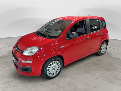 Fiat Panda Cross Cross 1.0 FireFly S&S Hybrid usata