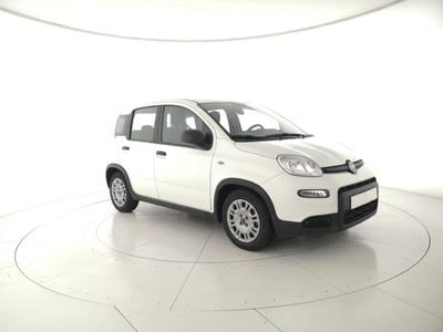Fiat Panda 1.0 FireFly S&S Hybrid usata