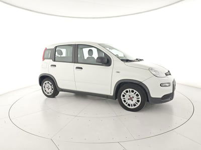Fiat Panda 1.0 FireFly S&S Hybrid usata