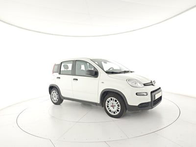 Fiat Panda 1.0 FireFly S&S Hybrid usata