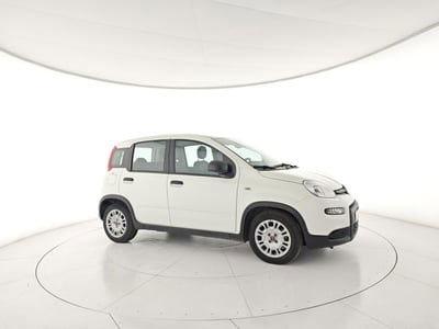 Fiat Panda 1.0 FireFly S&S Hybrid usata