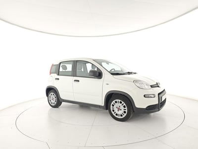 Fiat Panda 1.0 FireFly S&S Hybrid usata