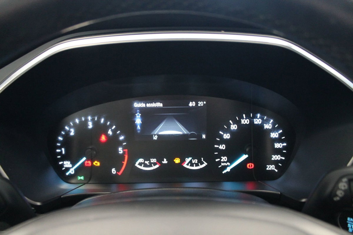 Ford Kuga 2.0 EcoBlue Hybrid 150 CV 2WD Titanium X (10)