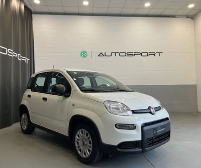 Fiat Panda Cross Cross 1.0 FireFly S&S Hybrid nuova