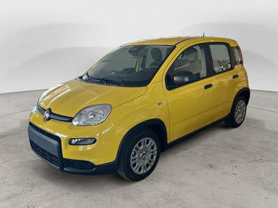 Fiat Panda Cross Cross 1.0 FireFly S&S Hybrid nuova