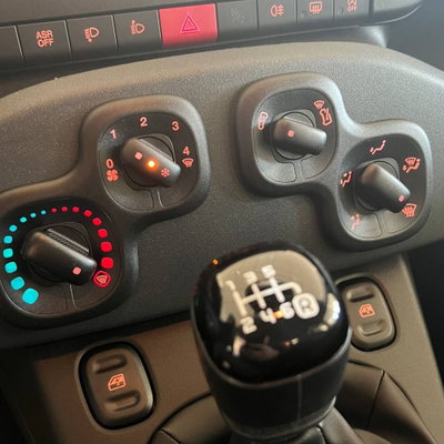 Fiat Panda Cross Cross 1.0 FireFly S&S Hybrid (11)