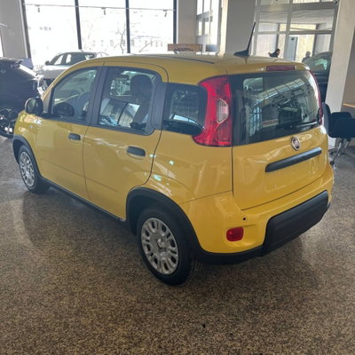 Fiat Panda Cross Cross 1.0 FireFly S&S Hybrid (2)