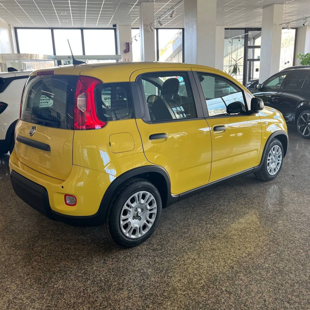 Fiat Panda Cross Cross 1.0 FireFly S&S Hybrid (4)
