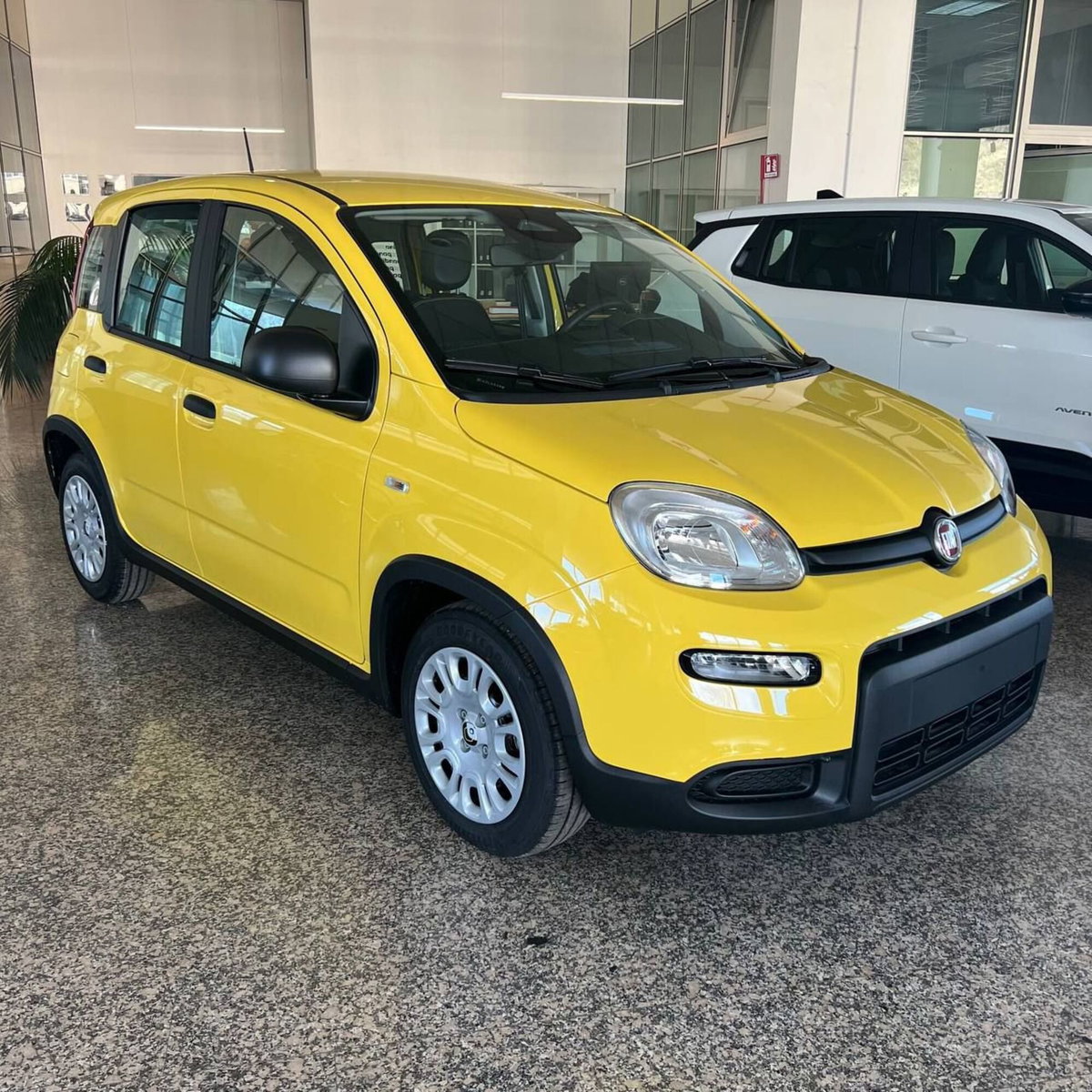 Fiat Panda Cross Cross 1.0 FireFly S&S Hybrid (5)