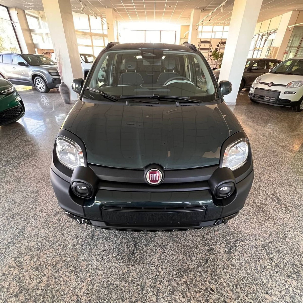 Fiat Panda Cross Cross 1.0 FireFly S&S Hybrid (2)