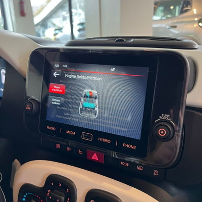 Fiat Panda Cross Cross 1.0 FireFly S&S Hybrid (12)