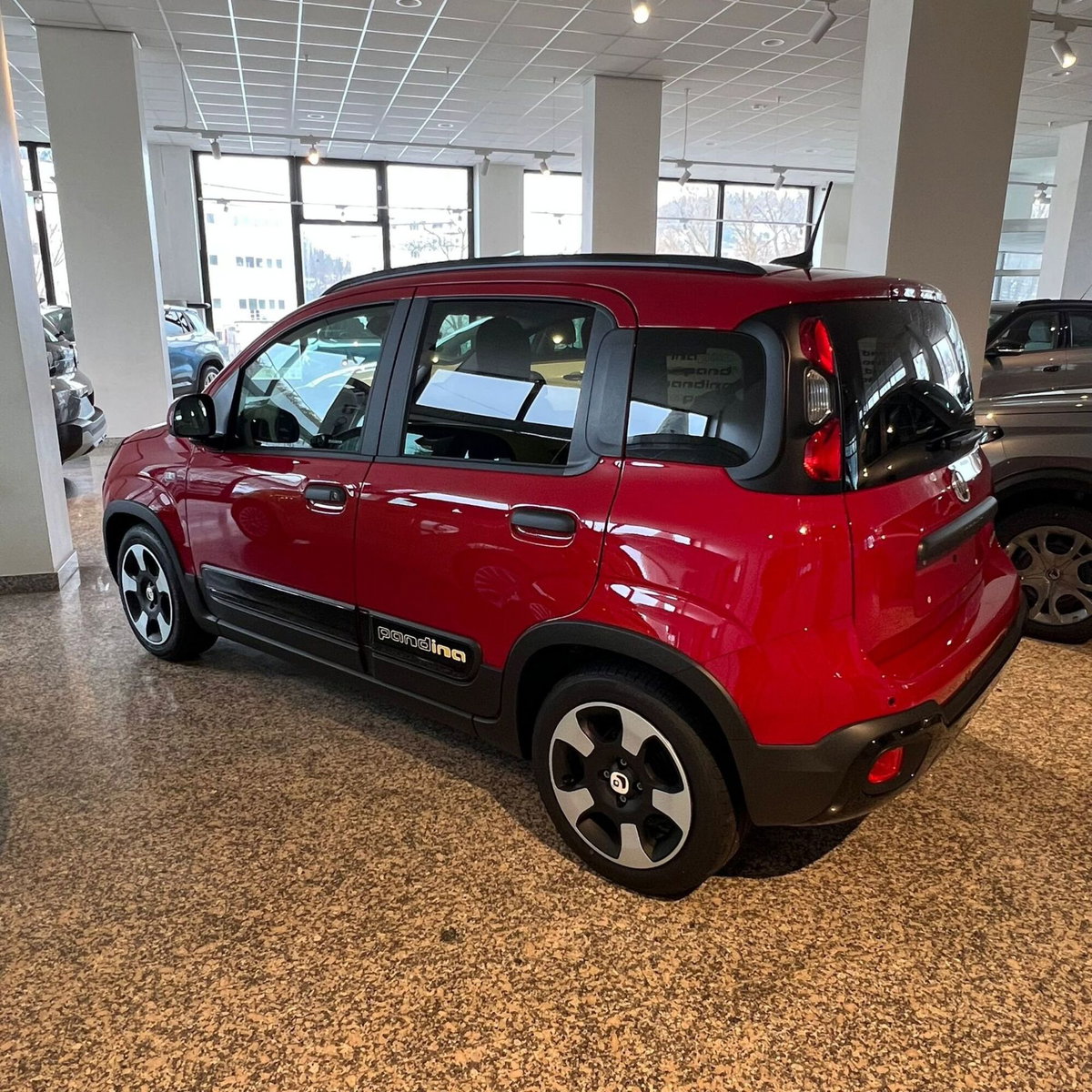 Fiat Panda Cross Cross 1.0 FireFly S&S Hybrid (6)