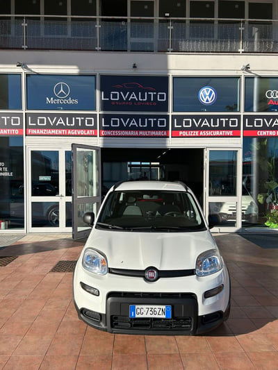 Fiat Panda 1.0 FireFly S&S Hybrid City Cross usata