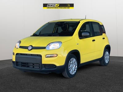 Fiat Panda Cross Cross 1.0 FireFly S&S Hybrid nuova