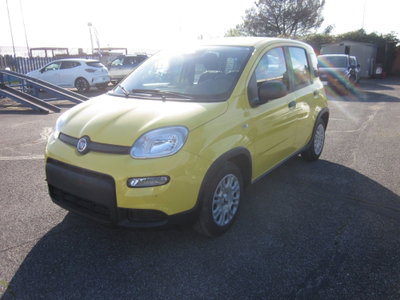 Fiat Panda Cross Cross 1.0 FireFly S&S Hybrid (4)