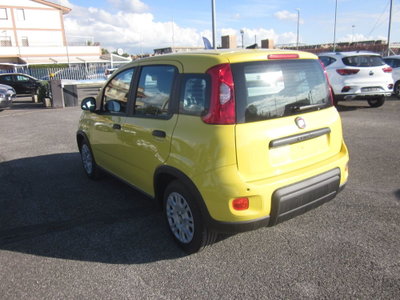 Fiat Panda Cross Cross 1.0 FireFly S&S Hybrid (5)