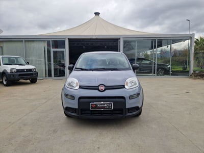 Fiat Panda 1.0 FireFly S&S Hybrid City Cross usata