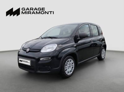 Fiat Panda 1.0 firefly hybrid s&s 70cv 5p.ti nuova