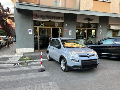 Fiat Panda 1.0 firefly hybrid s&s 70cv 5p.ti nuova