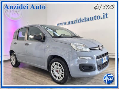 Fiat Panda 1.2 EasyPower Easy usata
