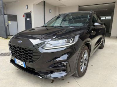 Ford Kuga 2.0 EcoBlue 120 CV aut. 2WD ST-Line X usata
