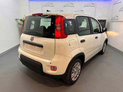 Fiat Panda 1.0 FireFly S&S Hybrid City Cross nuova