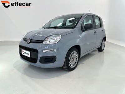 Fiat Panda 1.0 firefly hybrid s&s 70cv 5p.ti usata