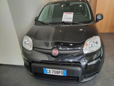 Fiat Panda 1.0 firefly hybrid s&s 70cv nuova